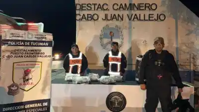El can Alex marcó el cargamento: secuestran 5,6 kilos de marihuana en una encomienda y detienen a la destinataria