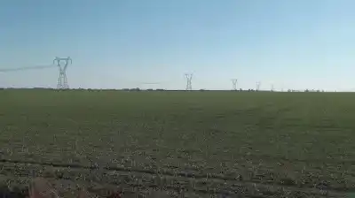 El campo que no para: el mercado de tierras explotó con un índice que marca un antes y un después