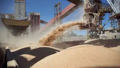 El campo argentino facturó casi US$22 mil millones en 5 meses: ¿cuáles fueron los sectores que más crecieron?