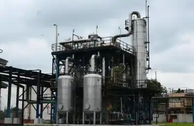 Récord histórico: la producción de alcohol en el NOA superó todas las marcas y Tucumán fue la gran protagonista