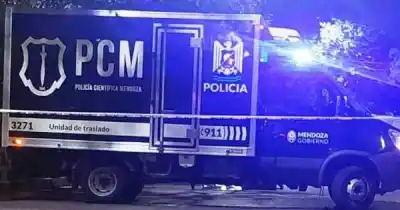 Treparon hasta un primer piso y lo que hicieron adentro dejó helado al dueño