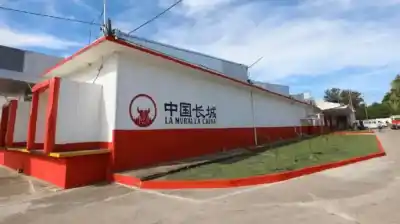 El sueño chino que terminó en martillazo: rematan por US$5 millones un frigorífico gigante de Corrientes
