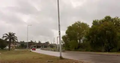 Hallaron a un perro sin vida en plena calle de Jujuy: la ola polar sería la causa