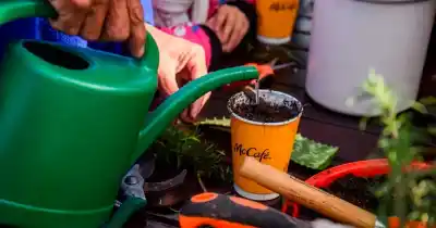 McDonald’s sorprende en Rosario con una huerta que convierte desechos en aprendizaje