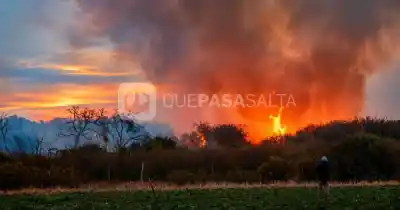 Incendio en Cafayate: ¿detrás de las llamas hay un negocio millonario?