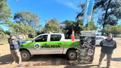 En plena siesta, hallaron 11 aves silvestres enjauladas en una casa de la capital