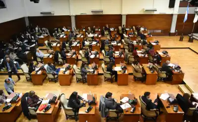 La Legislatura de Jujuy aprobó un paquete de leyes que incluye alivio fiscal y duras sanciones para deudores alimentarios