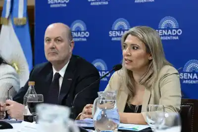 El proyecto que habilita empresas con IA sin empleados: Sturzenegger lo defendió en el Senado