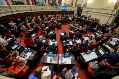 Senado bonaerense: arrancó el año legislativo y aprobaron un repudio que impacta en 95 municipios