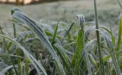 Alerta amarilla por frío extremo en Jujuy: las zonas más afectadas y cómo cuidarse