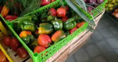 El pimiento que puede devolverle a Mendoza el protagonismo perdido en el sur