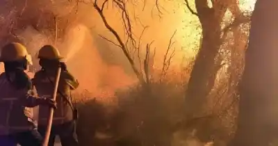 Incendio en Cafayate: investigan si fue intencional y el daño ambiental es “desolador”
