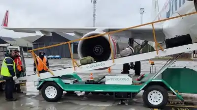 Fracasó la privatización de Intercargo: nadie se presentó a la subasta
