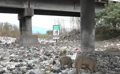Jujuy puso 14 ojos electrónicos para cazar a los que tiran basura: ya hay siete casos en la mira