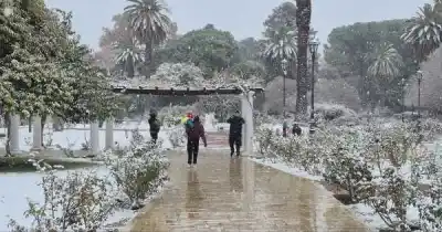 ¿Blanco otra vez? Lo que dicen los últimos modelos sobre la nieve en Mendoza