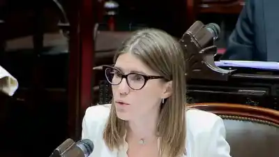 Súper RIGI: la media sanción que encendió las alarmas de una diputada y desató una advertencia sobre ‘cheques en blanco’