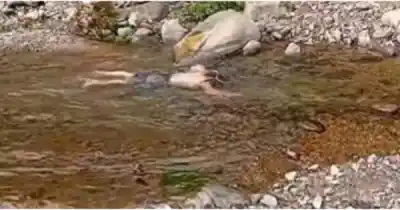 El insólito ritual matutino de un bailarín jujeño que desafía el frío extremo