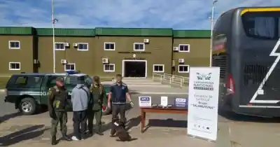 Viajaba a Mendoza con marihuana escondida en el micro: el hallazgo que la policía no esperaba