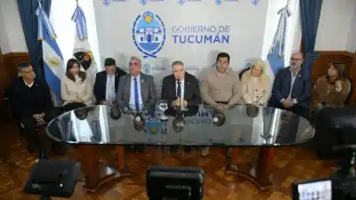 Tucumán tiene Ficha Limpia: ¿y el Gobierno nacional? Jaldo marca la diferencia