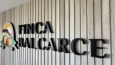 Crisis en Balcarce: una fábrica de papas congeladas echa el cierre y deja en la calle a 50 familias