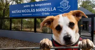 Escuelas de Salta podrán visitar el Centro de Adopciones con traslado gratuito