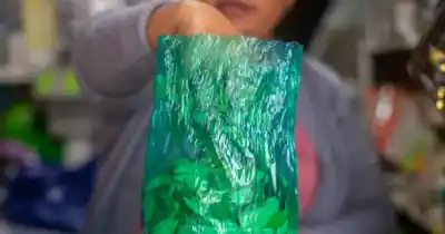El proyecto que divide a los diputados salteños: ¿legalizar la hoja de coca?