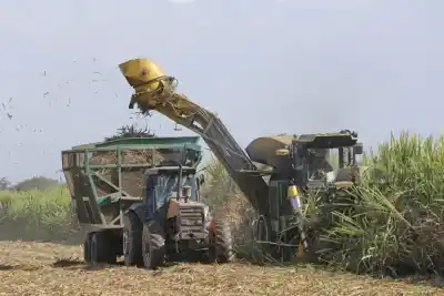 Sin lluvias, la zafra tucumana despega: récord de molienda y producción de alcohol