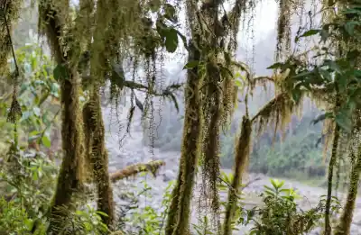 Descubre el paraíso escondido de las Yungas: Parque Nacional Aconquija