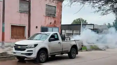 Semana de fumigaciones: la Municipalidad reveló los barrios donde actuará
