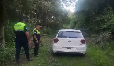 Automóvil Robado Aparece Abandonado en Finca de Monteros