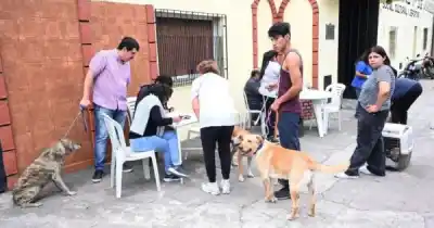 Llega la vacunación antirrábica gratis a los barrios de San Salvador de Jujuy: revisá si el tuyo está en el cronograma