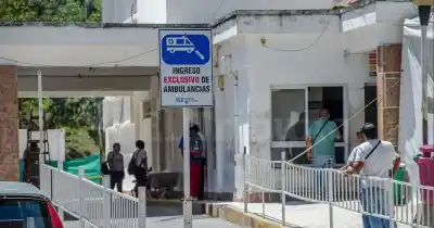 Alarma en Salta: más de 400 ataques de perros y 116 internados por virus en una semana