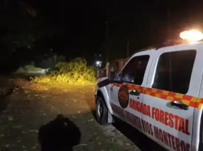Tormenta azota Monteros: “Árboles caídos, cables cortados y daños en viviendas”