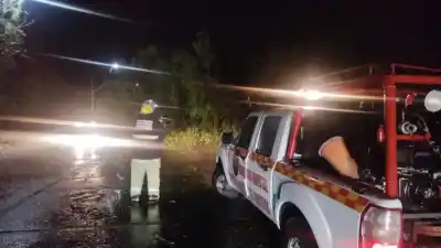 Árbol cae sobre la Ruta Provincial 325: Fuerte tormenta azotó a Monteros