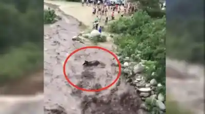 Crecida del Río Grande en Raco: Una tarde de terror y solidaridad