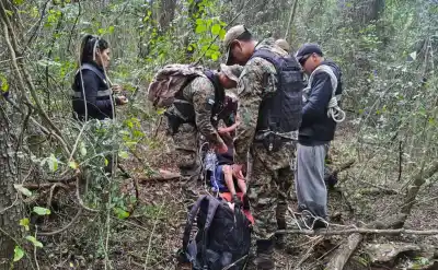 El olfato de Rocco: el perro que encontró con vida a un abuelo perdido en el monte