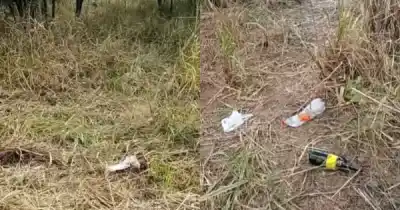 Impactante hallazgo en la ruta 34: encontraron un caballo faenado frente al santuario del Gauchito Gil