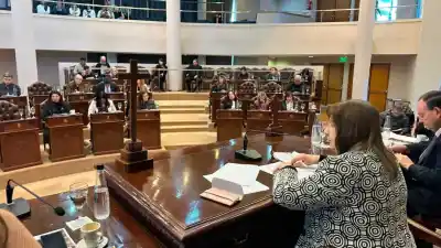 Declaran de interés dos marchas emblemáticas de Santiago del Estero: ¿qué pasó en la Legislatura?