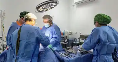 En solo seis meses, el hospital Oñativia realizó 12 trasplantes de riñón: lo que pocos saben sobre el equipo detrás de cada cirugía