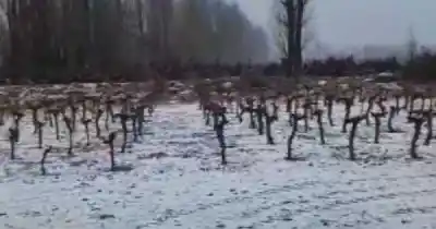 El invierno llegó al Valle de Uco: las impactantes imágenes de la primera nevada