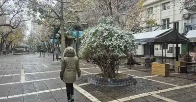 La nieve llegó a Mendoza y dejó postales de ensueño: las imágenes que sorprendieron a todos