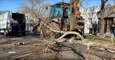 Una rama cayó sobre su moto en San Martín: dos heridos y un operativo que terminó con el vehículo secuestrado
