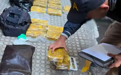 El sello del delfín: el detalle que delató a dos mujeres con 22 kilos de cocaína en un micro desde Jujuy