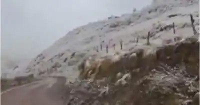 Nieve en la Cuesta del Obispo: el paisaje blanco que paralizó el camino a Cachi