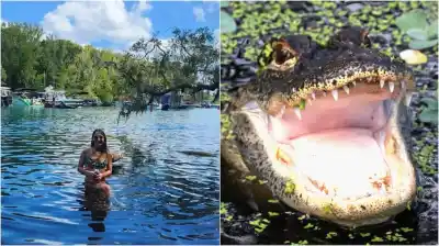 Un caimán de casi cuatro metros la atacó mientras nadaba en Florida: la dramática llamada al 911 que estremece