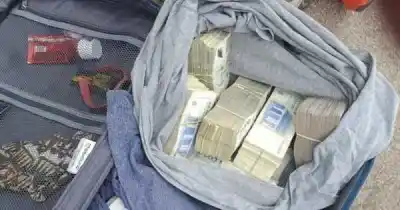 Encontró una mochila con millones en la ruta y su vida se convirtió en una pesadilla
