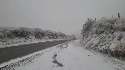 Nieve y niebla cortan el paso: la Ruta 14 en Pomán sigue cerrada y hay alerta en otras vías