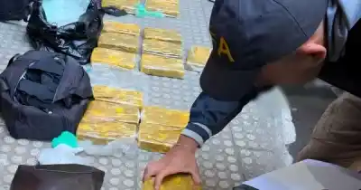 El sello del delfín que delató a la organización narco: dos mujeres detenidas