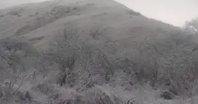 El paisaje que congeló el tiempo: la nevada que transformó este rincón de Salta