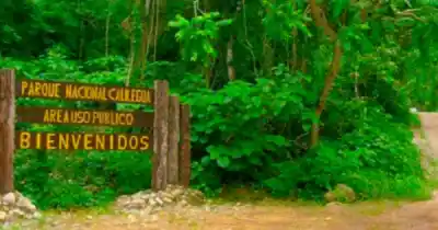 Denuncian un vaciamiento en Parques Nacionales: ¿qué pasará con el Parque Calilegua?